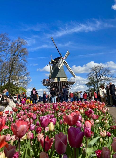 main image for Netherlands