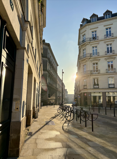 Megan P. • Sewanee: The University of the South