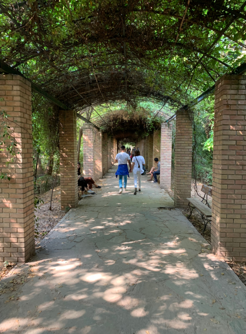 Brick path under vine-covered arches, people walking and sitting. This alt text was added with Al; accuracy may vary.