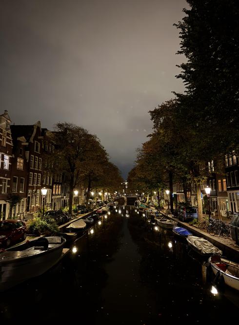 A river with trees and sidewalk to its sides at night