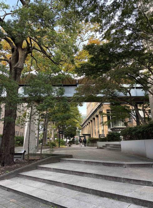 A picture of the Musashi University campus and trees surrounding it