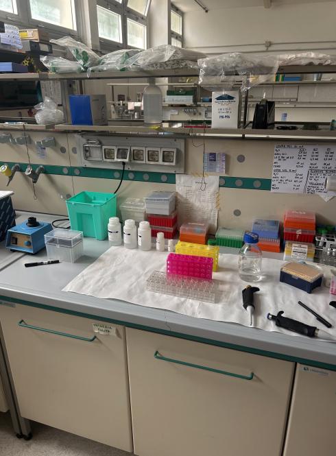 Various medical instruments and containers on a counter.