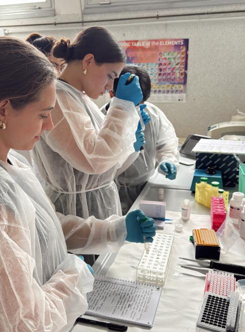 Students working on Biomedical Research in a hospital in Siena