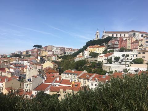 Lisbon's hillsides and rooftops