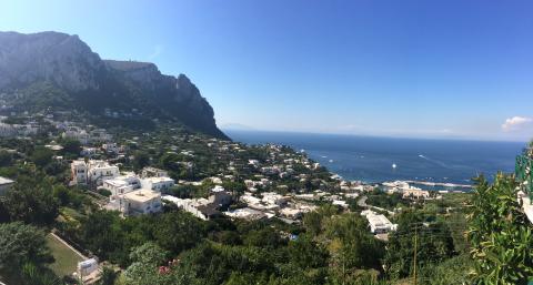 Panoramic view of Capri coastline with blue sea and clear sky. This alt text was added with Al; accuracy may vary.