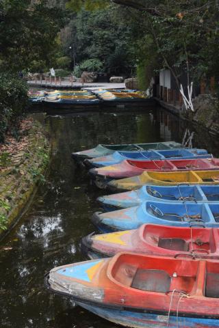 River Boats