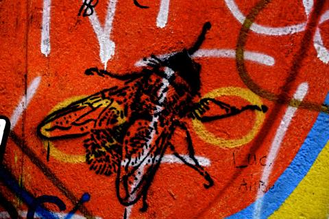 Fly street art in an alternative area of Berlin, Germany