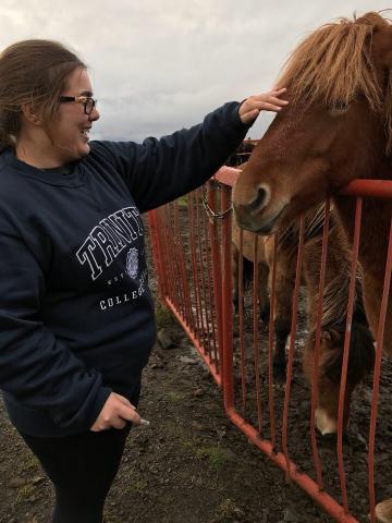 Me Petting a Wild Icelandic Horse 