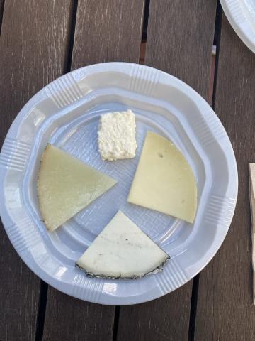 Different types of cheese in Spain