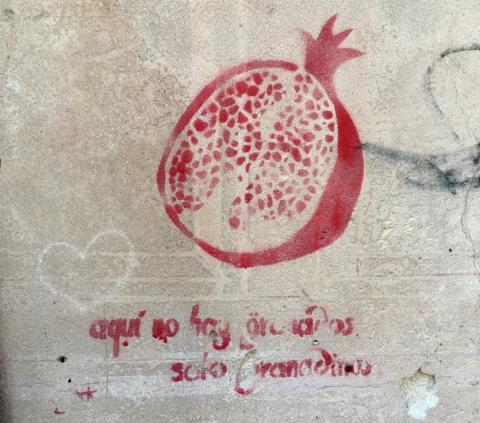 aquí no hay granados solo granadinos, Granada, Spain, Pomegranate