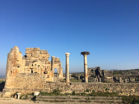 The ruins of the Roman city of Volubilis
