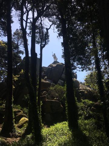 A statue of a knight on top of a hill in the woods