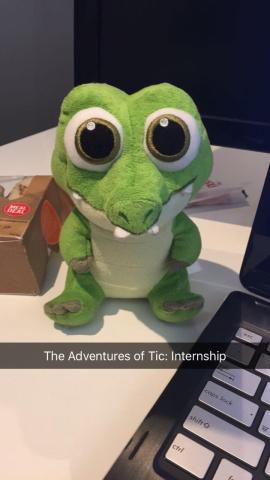 The Adventures of Tic: Internship