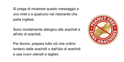 Note in Italian outlining my allergies that I gave to each restaurant I ate at 