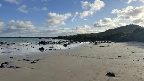 El Garrapetero beach