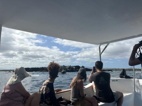 boat ride to snorkeling at Tintoreras