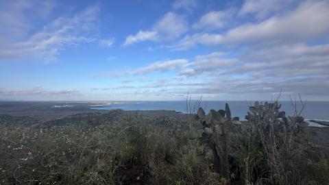 vista from the Wall of Tears