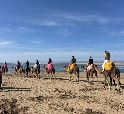 American students ride camels, walking single file along the beach with colorful saddles.