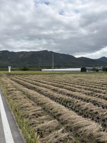 This is a photo of a field on a Gyeongju mountain.