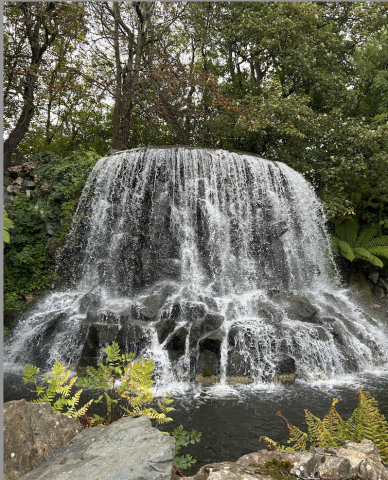 Waterfall surrounded by trees