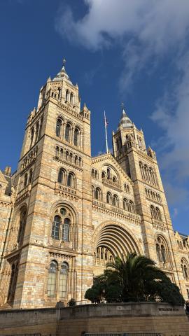 Picture of Big Museum