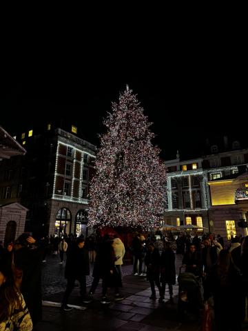 A large Christmas tree and a crowd