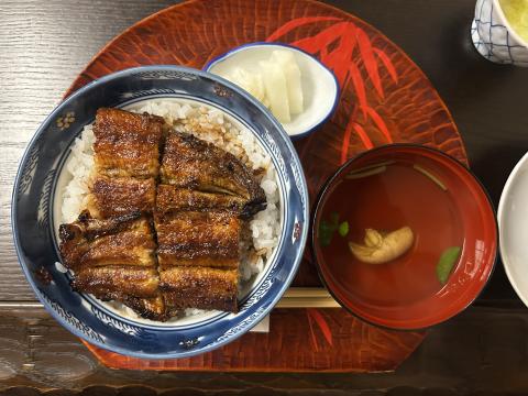 Photo of my lunch from the unagi restaurant we found