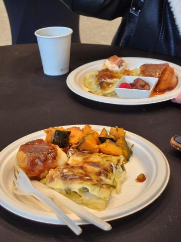 A plate of lasagna and mashed potatoes served together as a meal.