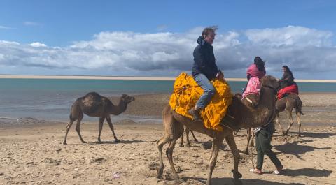 Students riding camels on the shore in Asilah