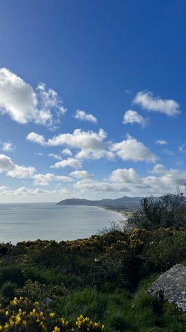 Killiney Hill