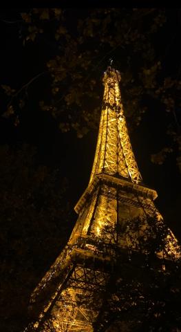The Eiffel Tower at night
