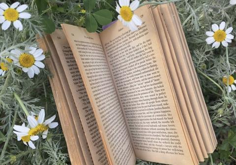 A book surrounded by daisies.