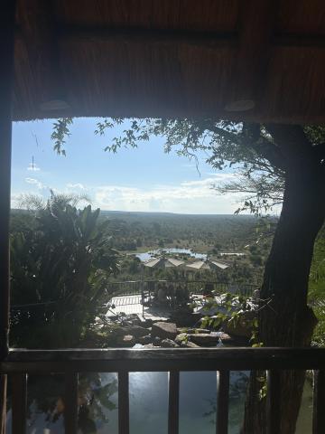 A view of the watering hole on the outskirts of the Victoria Falls Safari Lodge