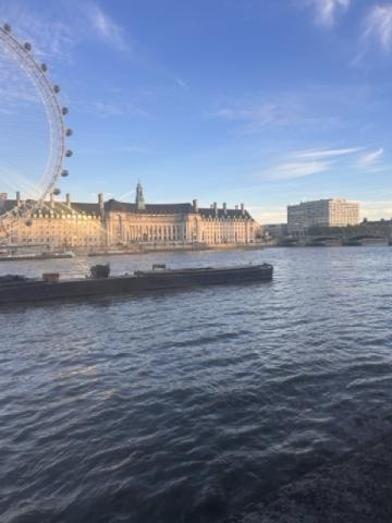 View of the London Eye from across the River