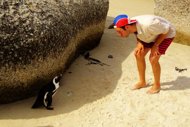 a student poses for a photo with a penguin on the beach in Cape Town