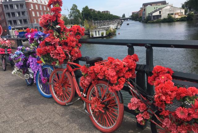 many bikes and flowers with matching colors sitting along the railings of an Amsterdam canal