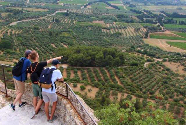 students look over a panoramic landscape view