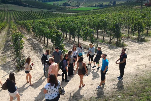 a group of students on a tour in a Siena vineyard