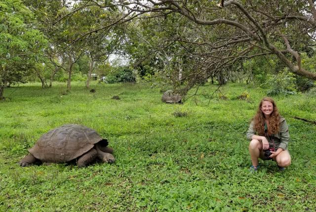 a student distancing herself from a giant Galápagos tortoise for a photo