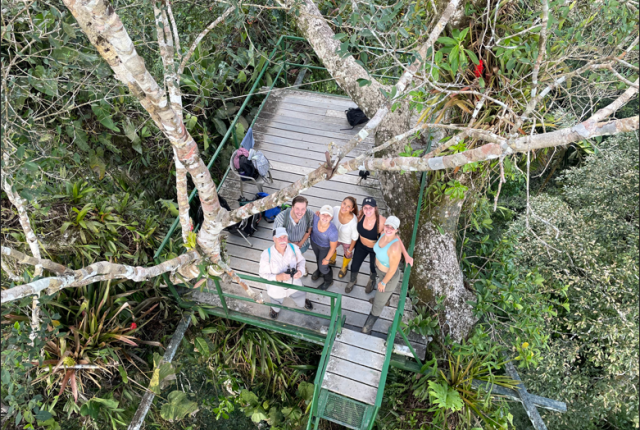 Students stand on a lookout post in the trees of the amazon rainforest