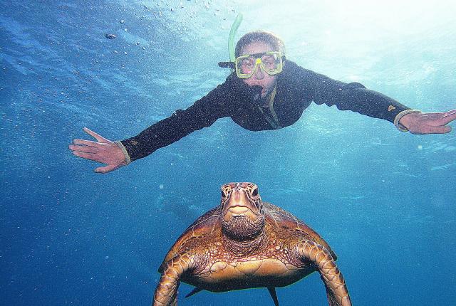 student snorkeling with sea turtle