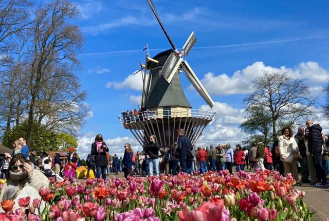 main image for Netherlands