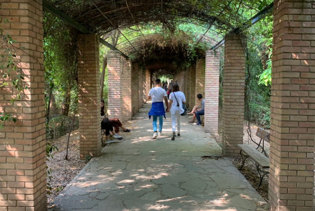 Brick path under vine-covered arches, people walking and sitting. This alt text was added with Al; accuracy may vary.