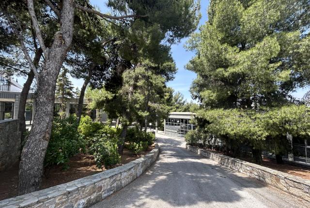 Tree-lined path with stone walls under a clear sky. This alt text was added with Al; accuracy may vary.