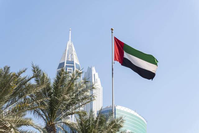 UAE flag and palm trees