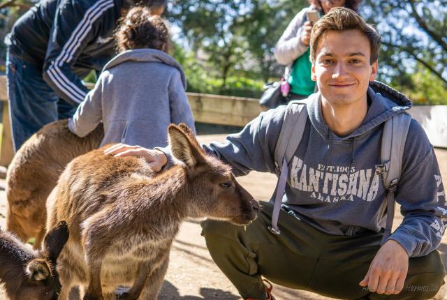 A male student kneeling down with his hand on a kangaroo