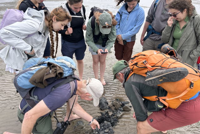 Students gather around their professor who is digging into the wet sand at low tide in the Wadden Sea in North Germany.