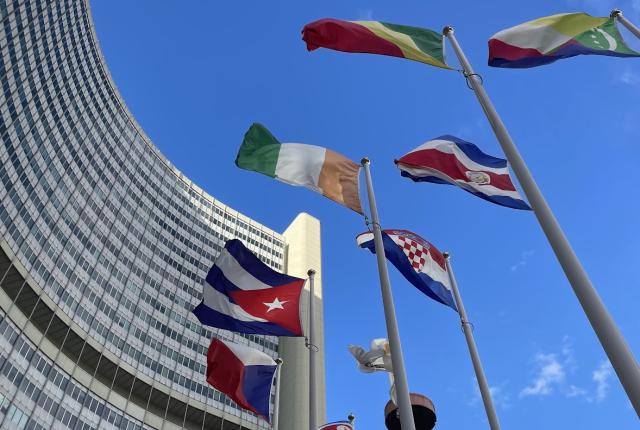 Flags outside of the UN in Vienna, Austria.