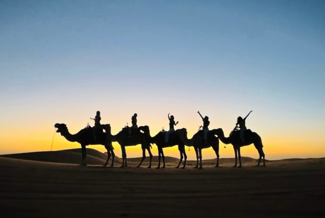 IES Abroad students riding camels in a Moroccan desert