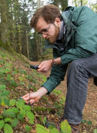 student on an Environmental Studies & Sustainability course looking at a leaf with a magnifying glass
